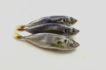 Whole Round Frozen Scad Mackerel