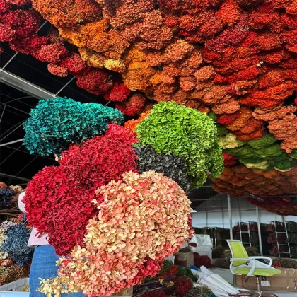 Wholesale Single Purple Hydrangea Preserved for Wedding Decoration