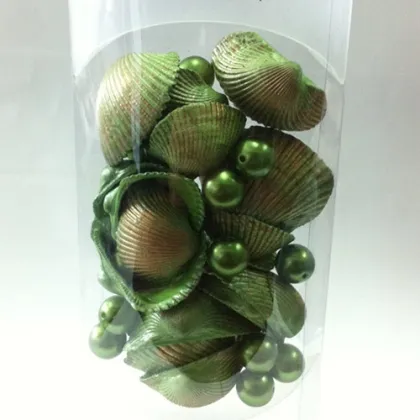 Wholesale Natural Beach Seashells For Crafts