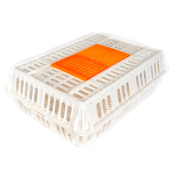 Stackable Durable Chicken Cage Plastic Large Crate for Chick Transport Box