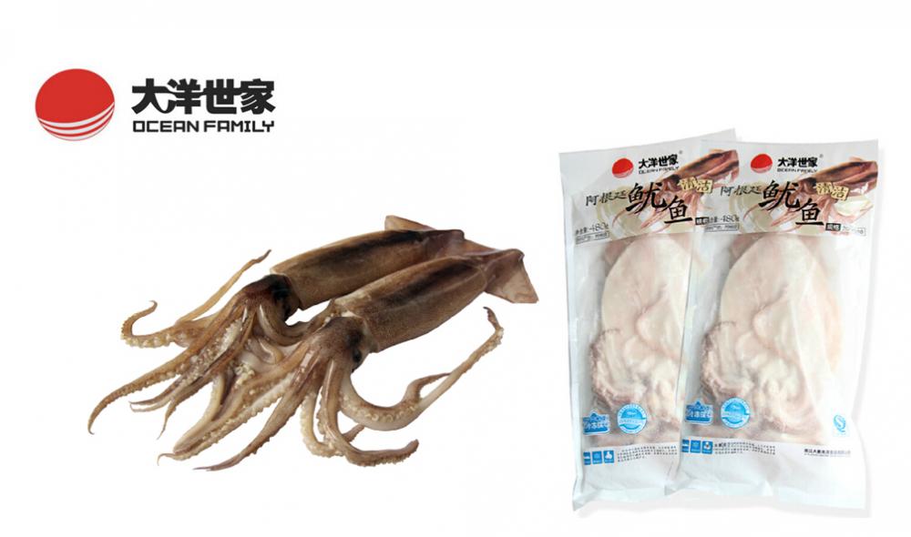 Whole Cleaned Illex Squid 480g