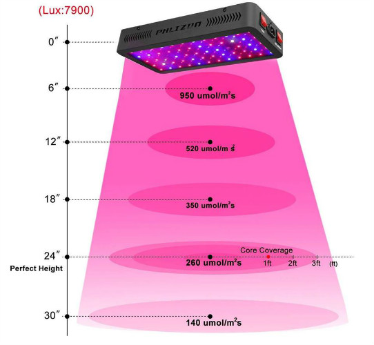 Best LED Grow Light for Indoor Plants Veg