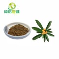 Экстракт листьев Loquat Corosolic Acid 10% порошок