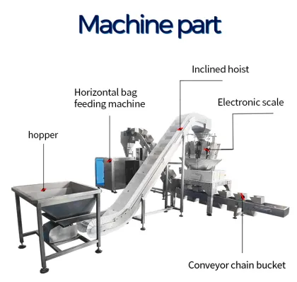 Frozen Food Packaging Machine: Steamed Buns and Noodles