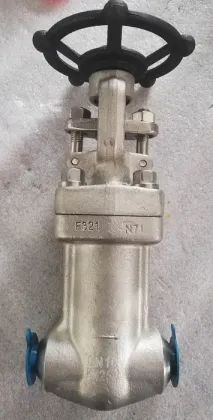F321 Forged Gate Valve