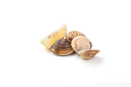 Herbal extract Oyster Shell Powder shell powder