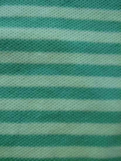 Cotton Span Y/D Stripe Pique