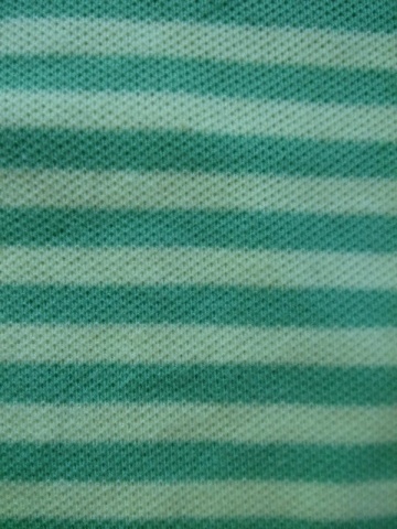 Cotton Span Y/D Stripe Pique