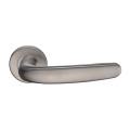 Special Design Door Handles on Rose