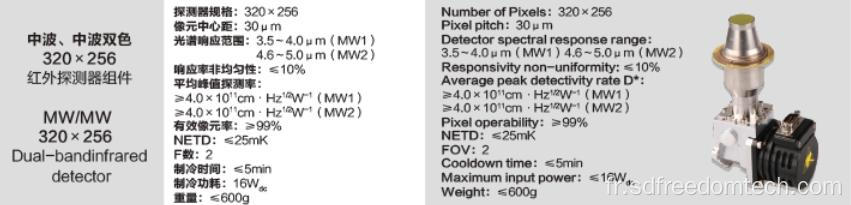 Détecteur MW / MW Dual Bandinfrared