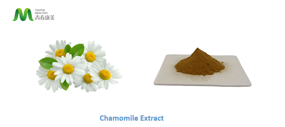 Chamomile Extract 2