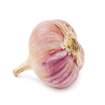 Fresh Garlic Price IN 2021