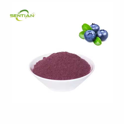 Organic Blueberry Powder Blueberry Fruit Powder Blueberry Extract