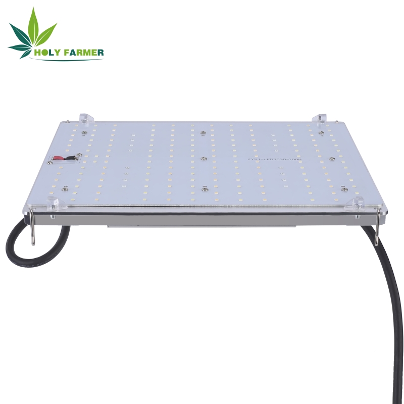 100wledgrowlight8