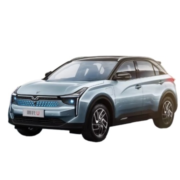HOZON NETA U - II: 500km Range New Energy 5-Seat SUV with Long Range and Affordable Pricing