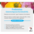 Galactooligosaccharides Gos Ingrédient naturel 70 POUDRE