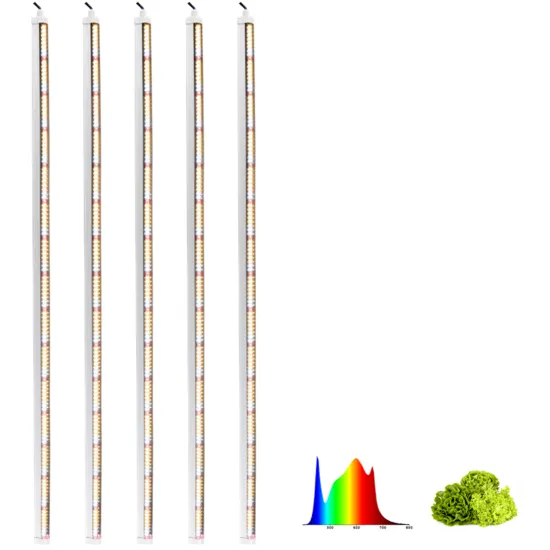 Customized Indoor LED Grow Lights: 18W to 40W Power Options with 2835 and LM281B Chips