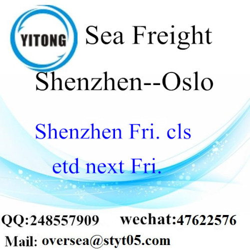 Shenzhen Port Sea Freight Shipping To Oslo