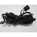 Auto Lamp Wire Harness