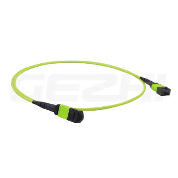 12F/APC MPO OM5 Patch Cord for Data Center Fiber Cables