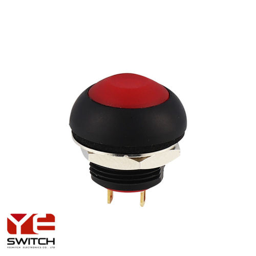 2 Position Momentary Plastic Push Button Switch