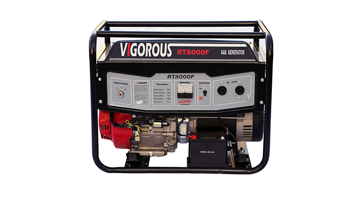 8KW LPG NG Generator For Home Back Up