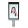 Multi Face Recognition Thermometer