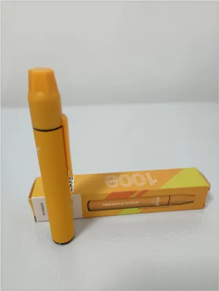 Disposable Puff R&M Hit 1000 Puffs Device