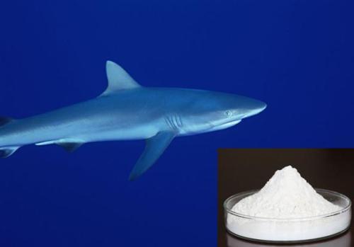 Shark Chondroitin Sulfate