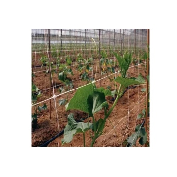 NETE Garden Cucumber Trellis Net