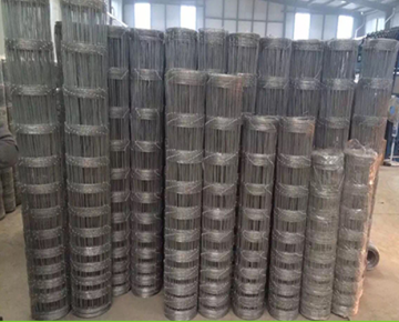 Nudo fijo red galvanizada de Kraal