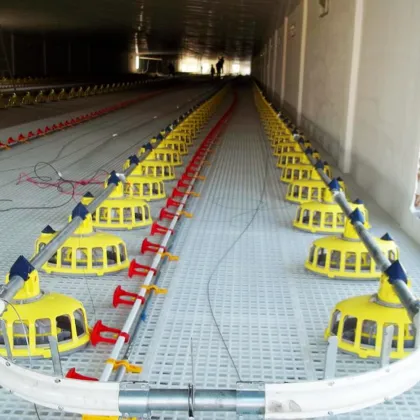 Chicken Feed Production Line and Brooder Feeder Systems for Farms