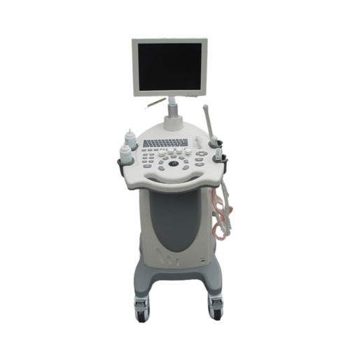 Color Doppler Ultrasound Diagnostic System Trolley