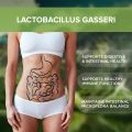 Lactobacillus gasseri ad alta purezza 200B CFU/g