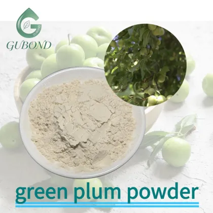 Green Plum Spray Dried Fruit Powder