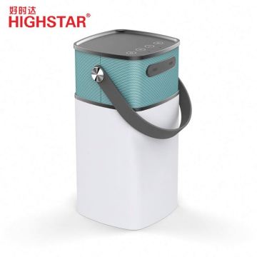 Miniso 24 Inch Bass Gold Speaker - Best Brand Search