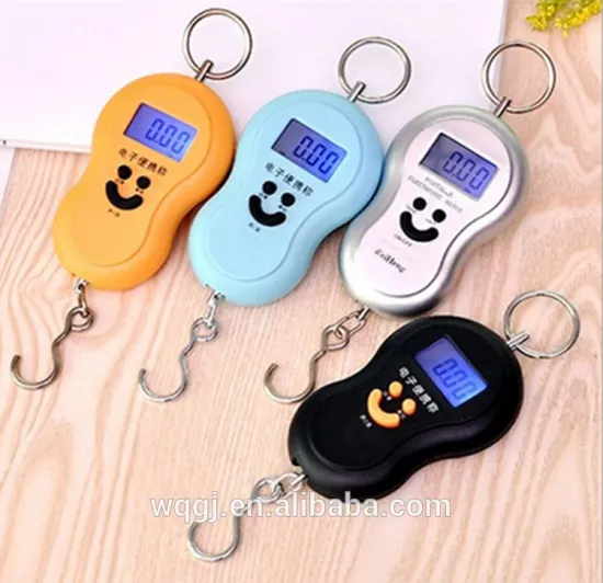 Small Handy Personal Digital Electronic Weighing Scale Aluminum Hook Hold Portable Camry Digital Crane Scale