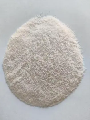 GMP Standard Pharmaceutical Dryer Machine