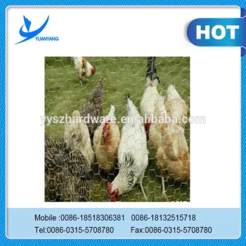 Hot Galvanzied new product brazil hexagonal wire netting made in china hardware