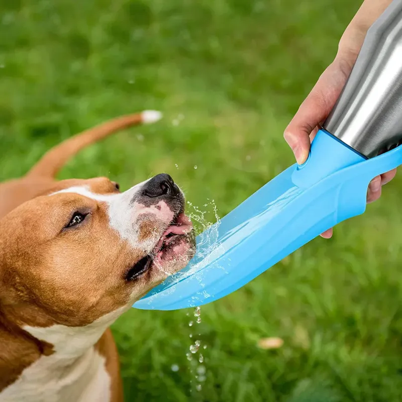 Portable Stainless Steel Pet Feeding Bottle