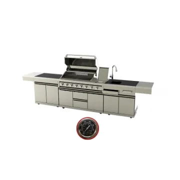 Modern New Design High Quality BBQ Gas Grill Cabinet