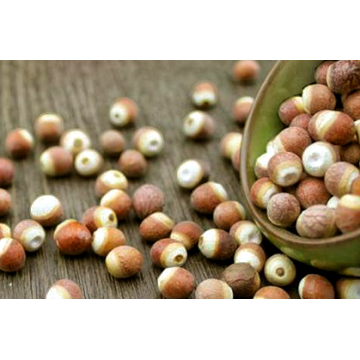 Premium Botanical Extract for Wellness Support Euryale Ferox Seed Extract Powder