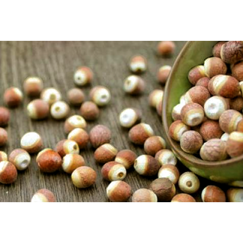 Premium Botanical Extract for Wellness Support Euryale Ferox Seed Extract Powder