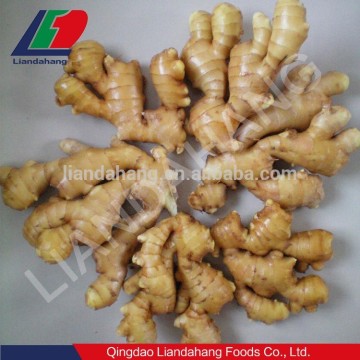 new crop bulk fresh ginger