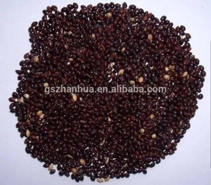 Red broomcorn millet