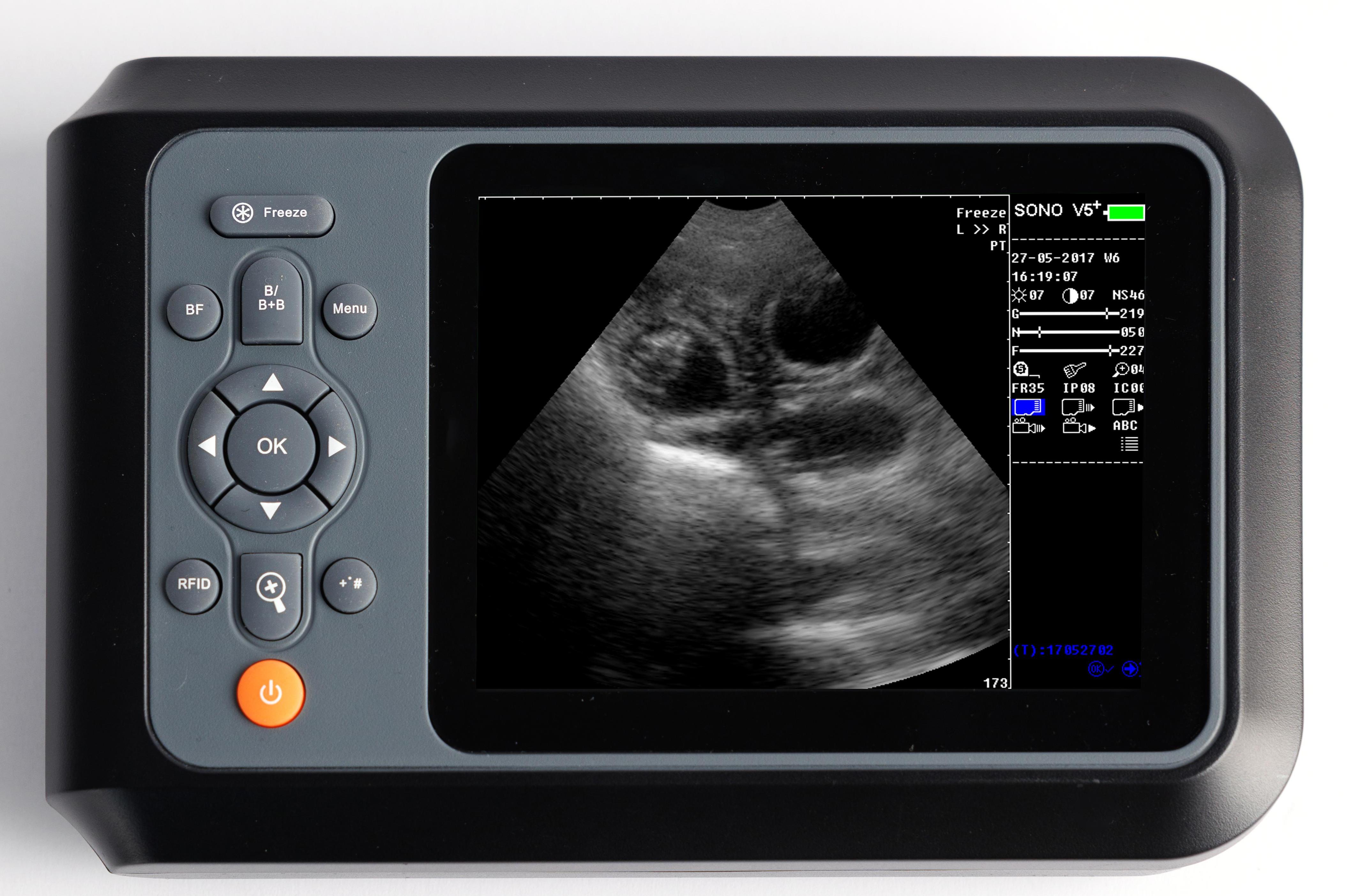 veterinary ultrasound system