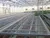 Greenhouse Seedbed Benches