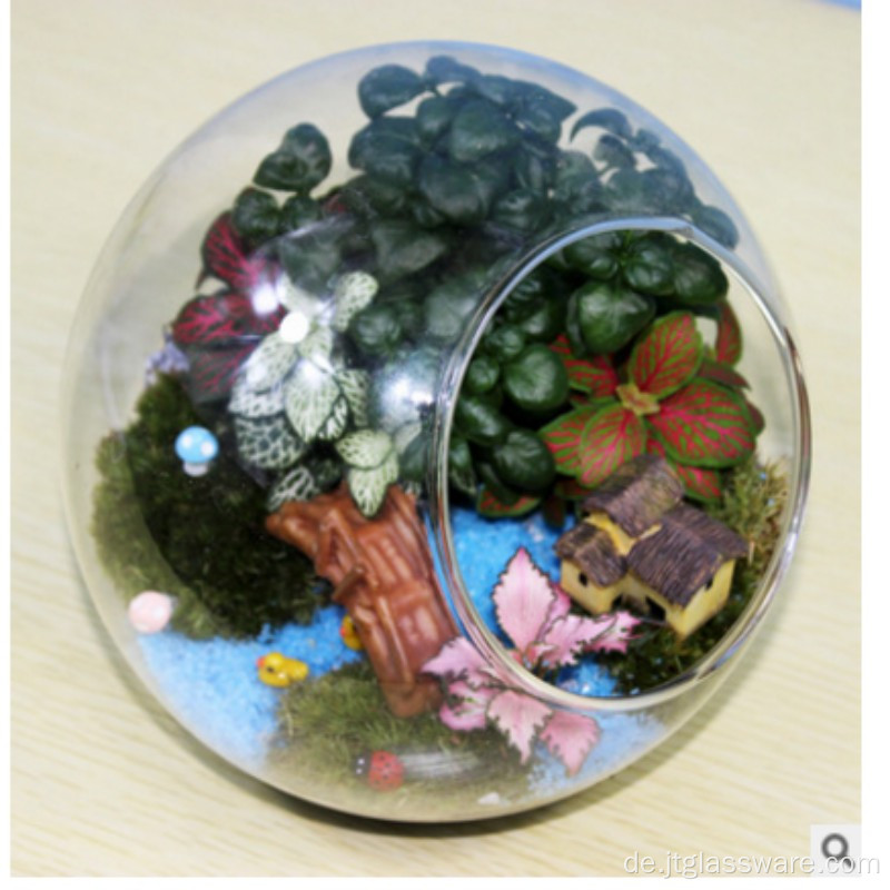 Hänge-Halter Glas Terrarium Home Decor