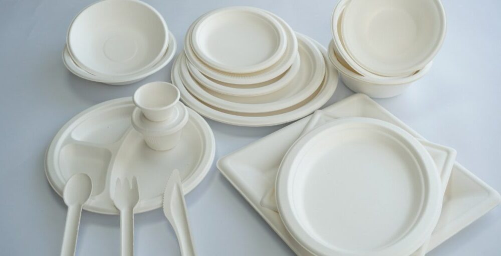 Bagasse-pulp-molded-tableware-1024x512-1-1000x512
