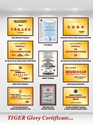 6.5HP TIGER brand Engine TE200